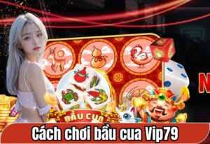 cách chơi bầu cua Vip79